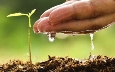 L’importanza della biodiversità agricola: un tesoro da preservare