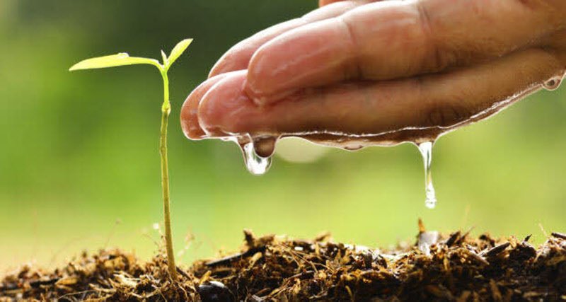 L’importanza della biodiversità agricola: un tesoro da preservare